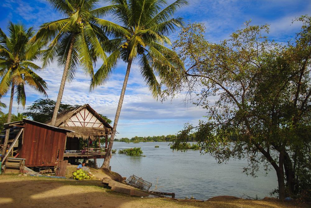 Don Khong Island coconuts and Mekong River, Laos